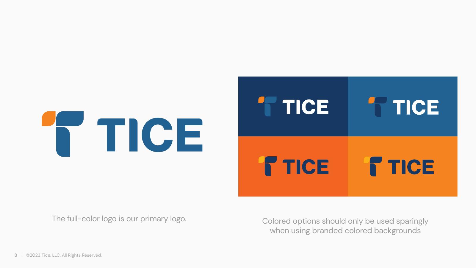 TICE visual identity system